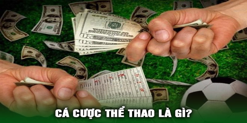 Cá Cược Thể Thao Là Gì?