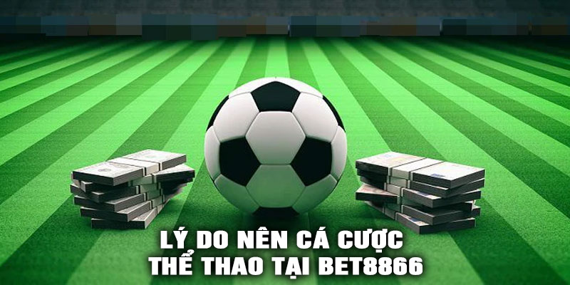 Lý Do Nên Cá Cược Thể Thao Tại BET8866