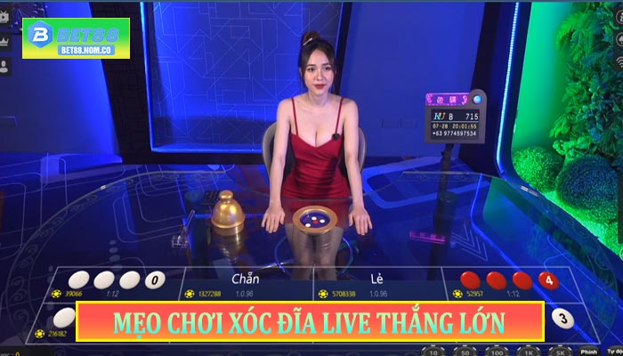 Mẹo chơi Xóc Đĩa Live thắng lớn