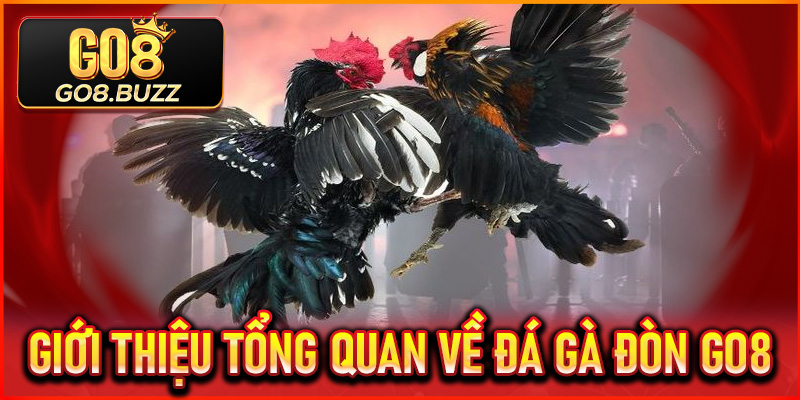 Giới thiệu tổng quan về Đá Gà Đòn Go8
