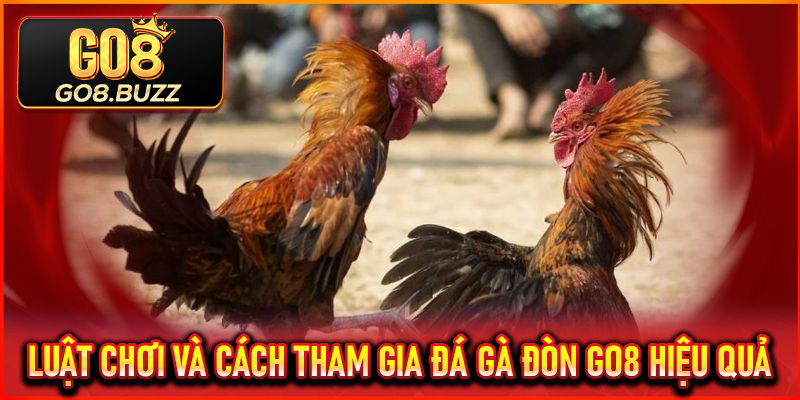 Luật chơi và cách tham gia Đá Gà Đòn Go8 hiệu quả