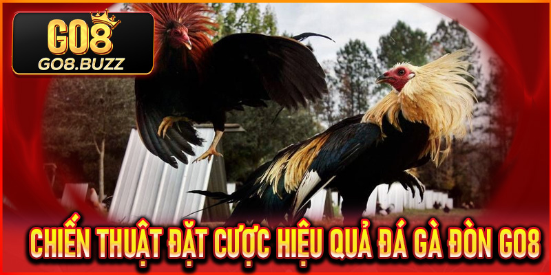 Các chiến thuật đặt cược hiệu quả trong Đá Gà Đòn Go8