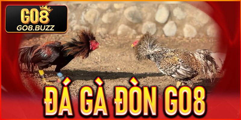 Đá Gà Đòn Go8