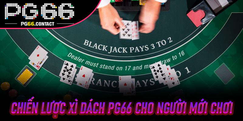 Chiến Lược Xì Dách Pg66 Cho Người Mới Chơi