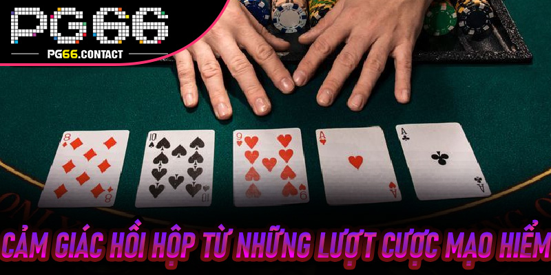 Cảm Giác Hồi Hộp Từ Những Lượt Cược Mạo Hiểm