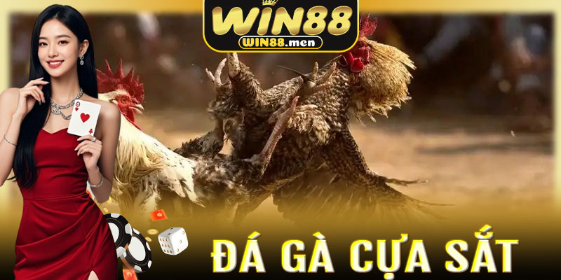 Trải nghiệm cá cược đá gà đỉnh cao không thể bỏ qua tại Win88