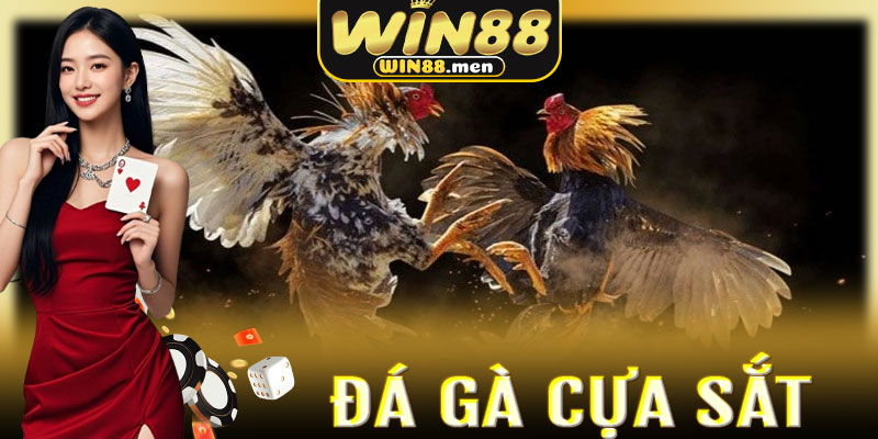 Đá Gà Cựa Sắt Win88: Nơi vũ khí sắc l lẹm định đoạt số phận chiến kê